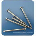 Hot Selling Cheap Concret Nails